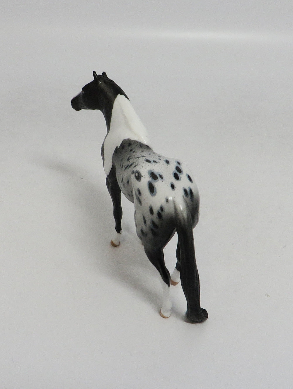 MAGNUM- OOAK PINTALOOSA CHIP BY AUDREY DIXON LHS 2018