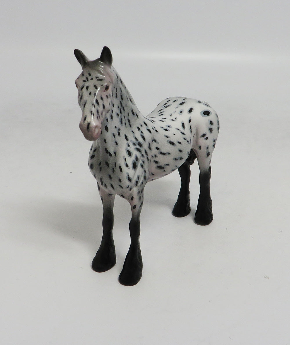 FLETCHER-00AK LOUD APPALOOSA STANDING DRAFT CHIP LHS 2018