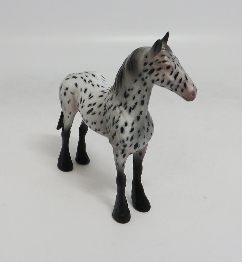 Appaloosa 