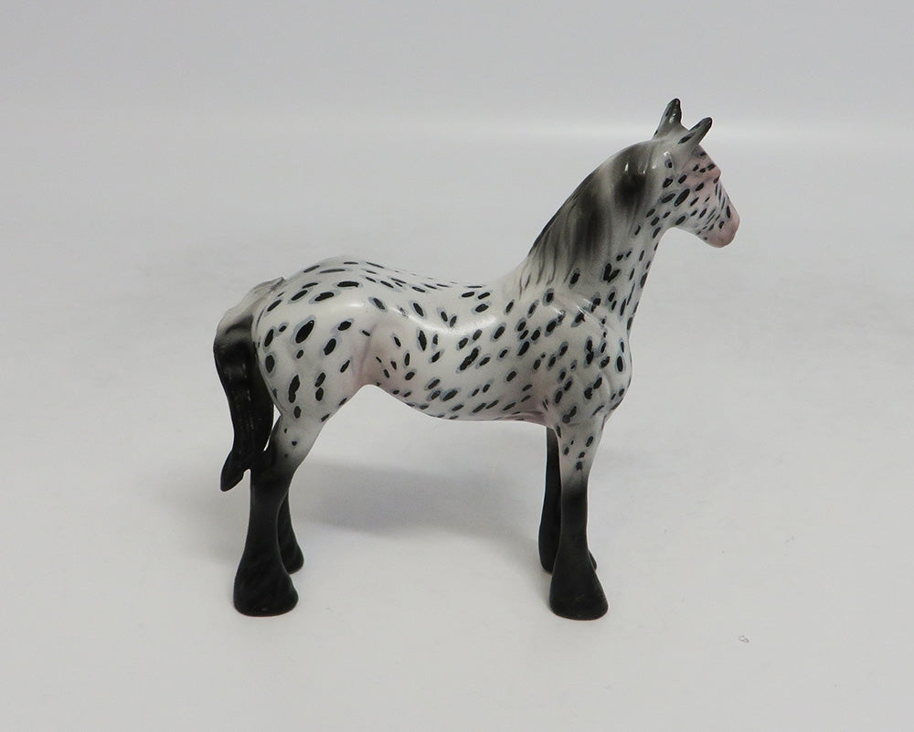 FLETCHER-00AK LOUD APPALOOSA STANDING DRAFT CHIP LHS 2018