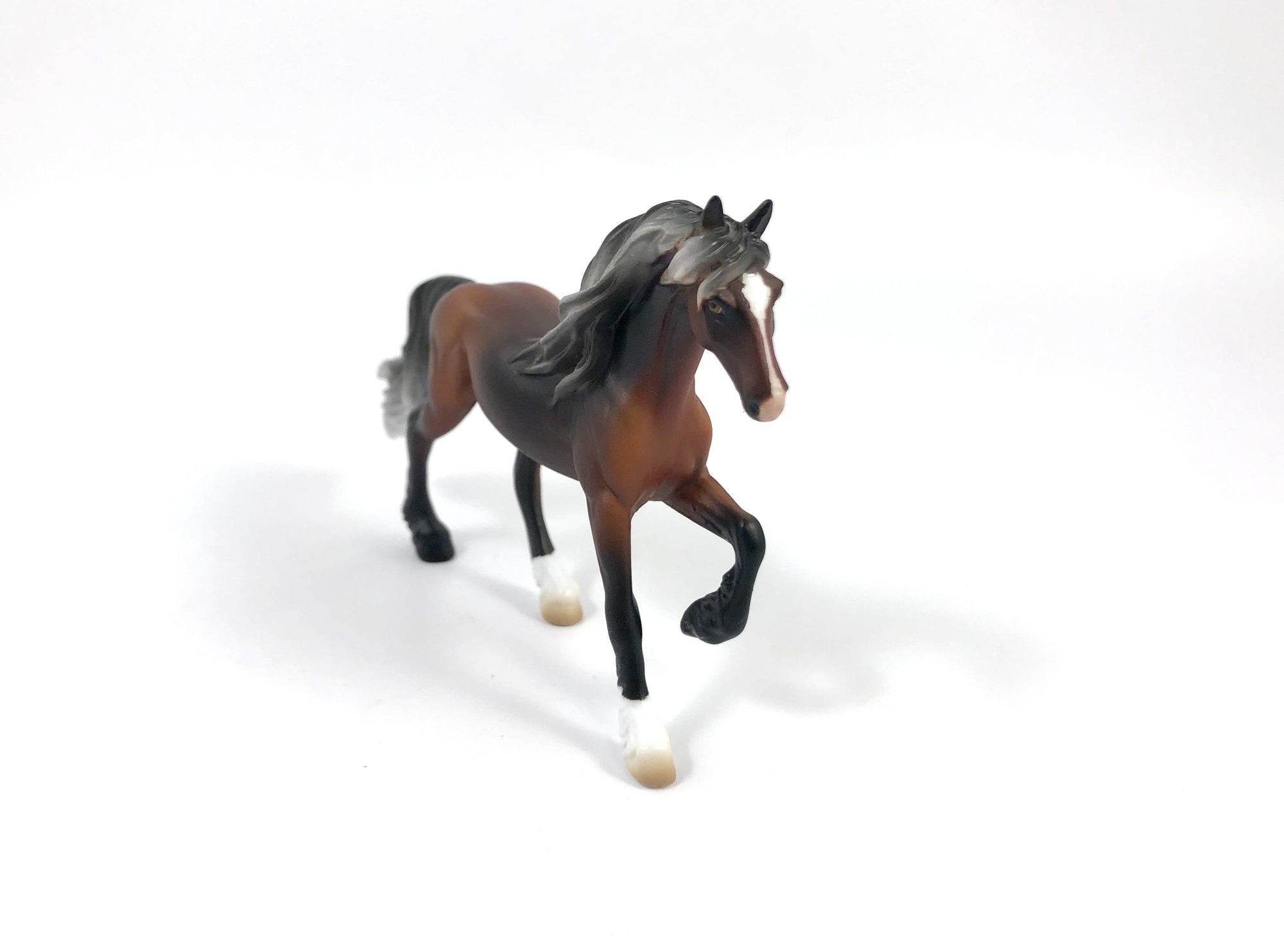 RHEMO-OOAK SILVER BAY FRESIAN CHIP SHCF 2019