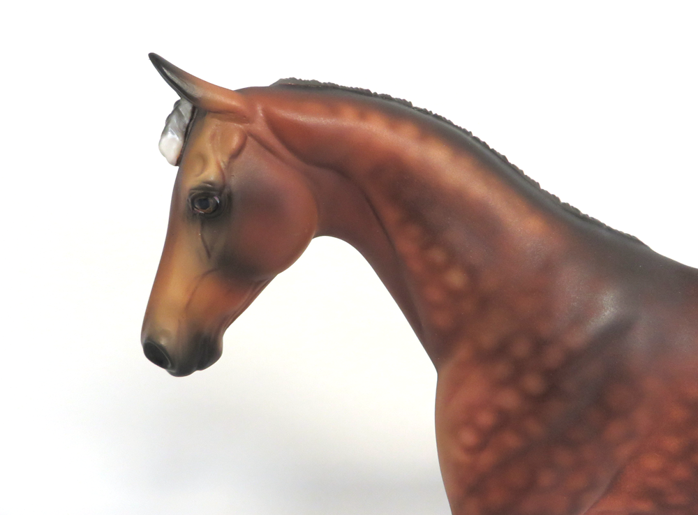 VECTOR  - LE-3 DAPPLED SILVER BAY PONY BY AUDREY DIXON 4-10-19