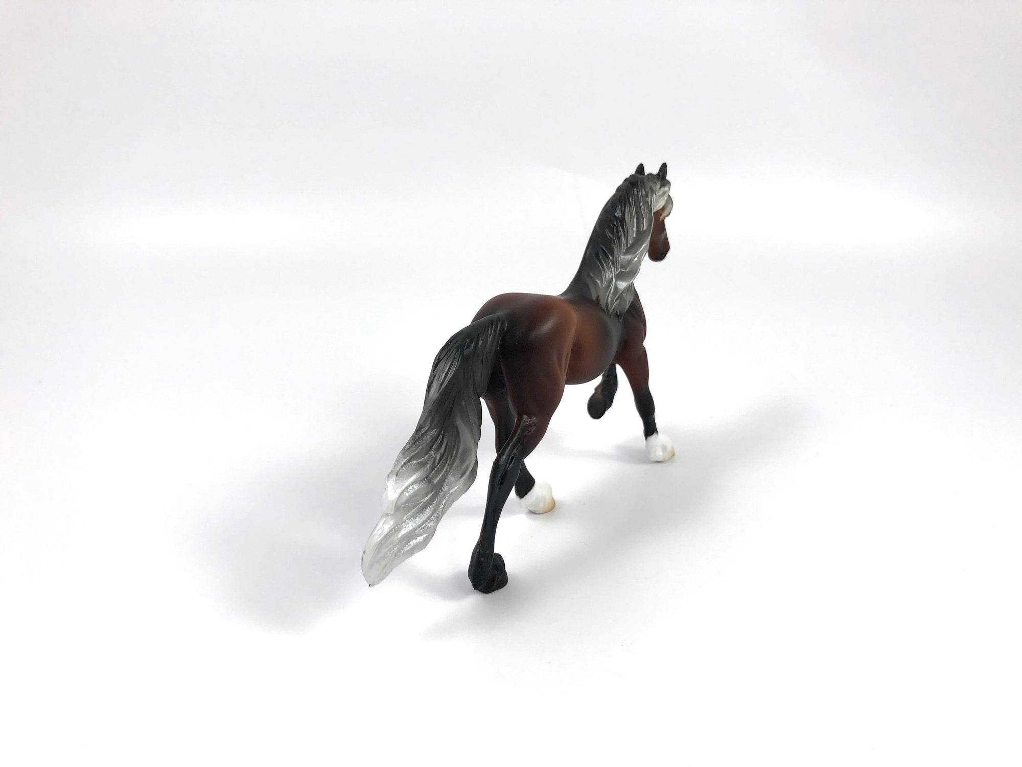 RHEMO-OOAK SILVER BAY FRESIAN CHIP SHCF 2019