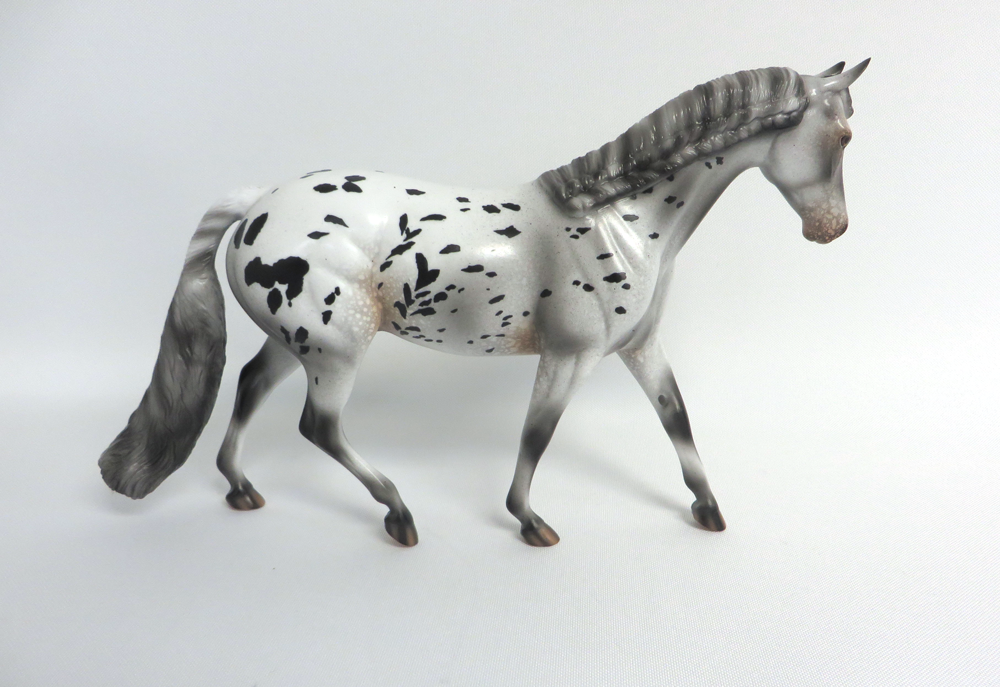 SCOOTALOO   - OOAK BLACK APPALOOSA  PONY BY AUDREY DIXON 4-10-19
