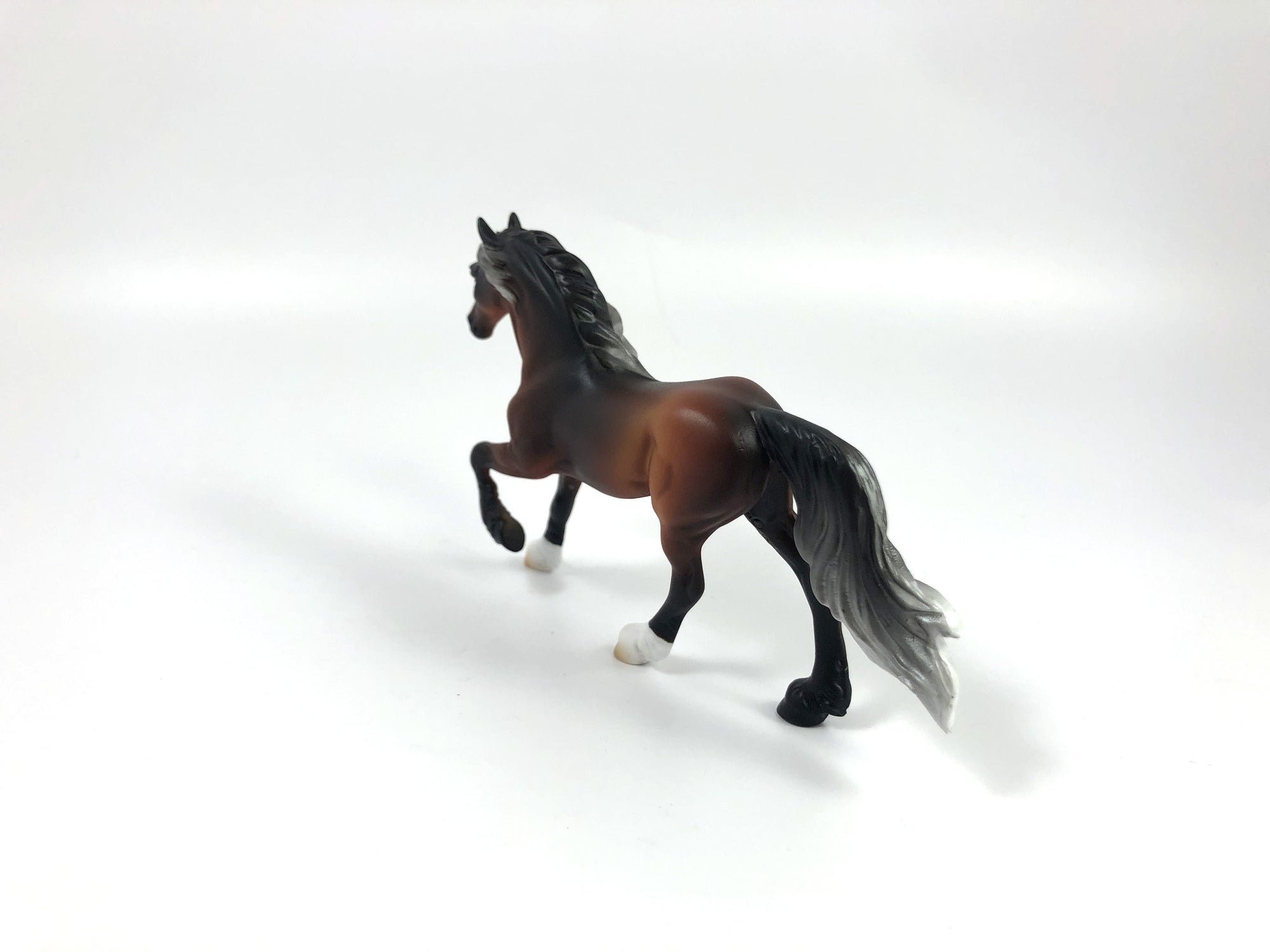 RHEMO-OOAK SILVER BAY FRESIAN CHIP SHCF 2019