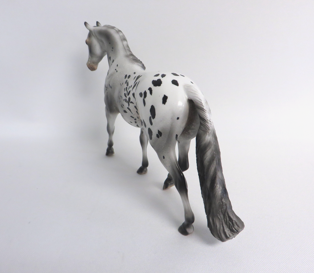 SCOOTALOO   - OOAK BLACK APPALOOSA  PONY BY AUDREY DIXON 4-10-19
