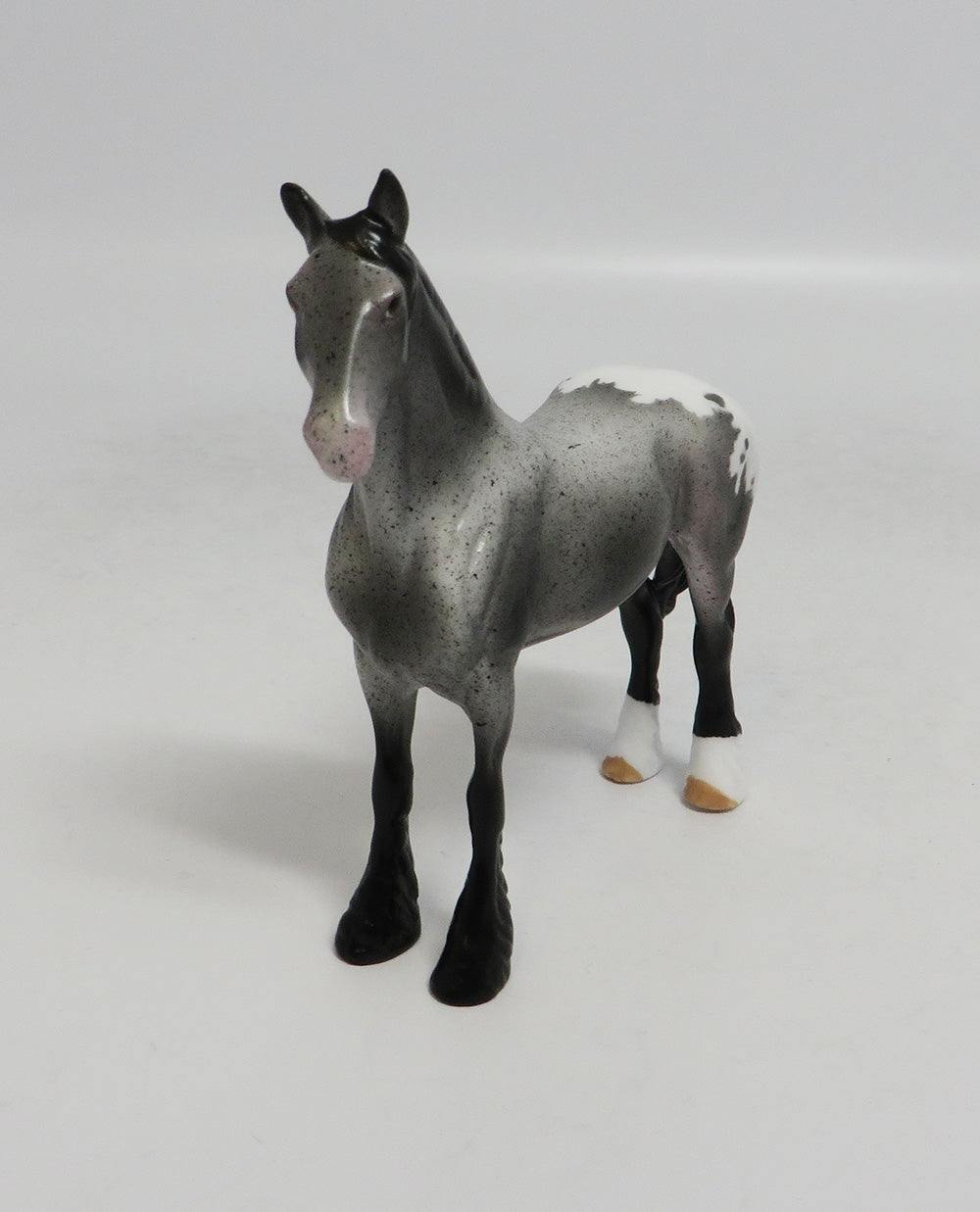 MYSTIQUE-LE-5 APPALOOSA CHIP DRAFTER WITH CUSTOM TAIL LHS 2018