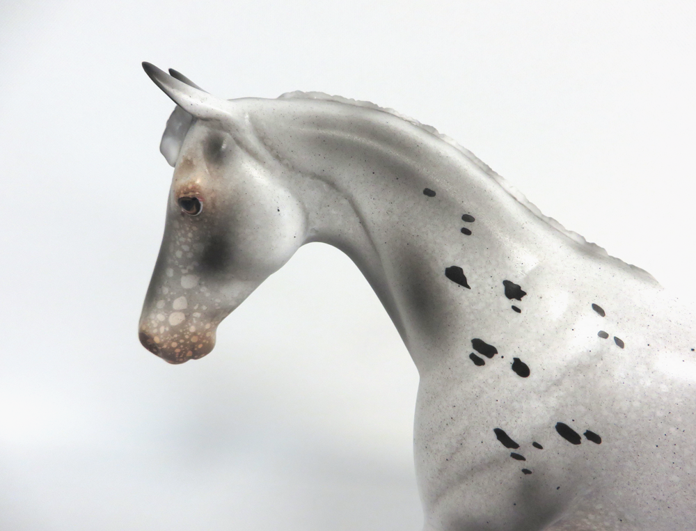 SCOOTALOO   - OOAK BLACK APPALOOSA  PONY BY AUDREY DIXON 4-10-19