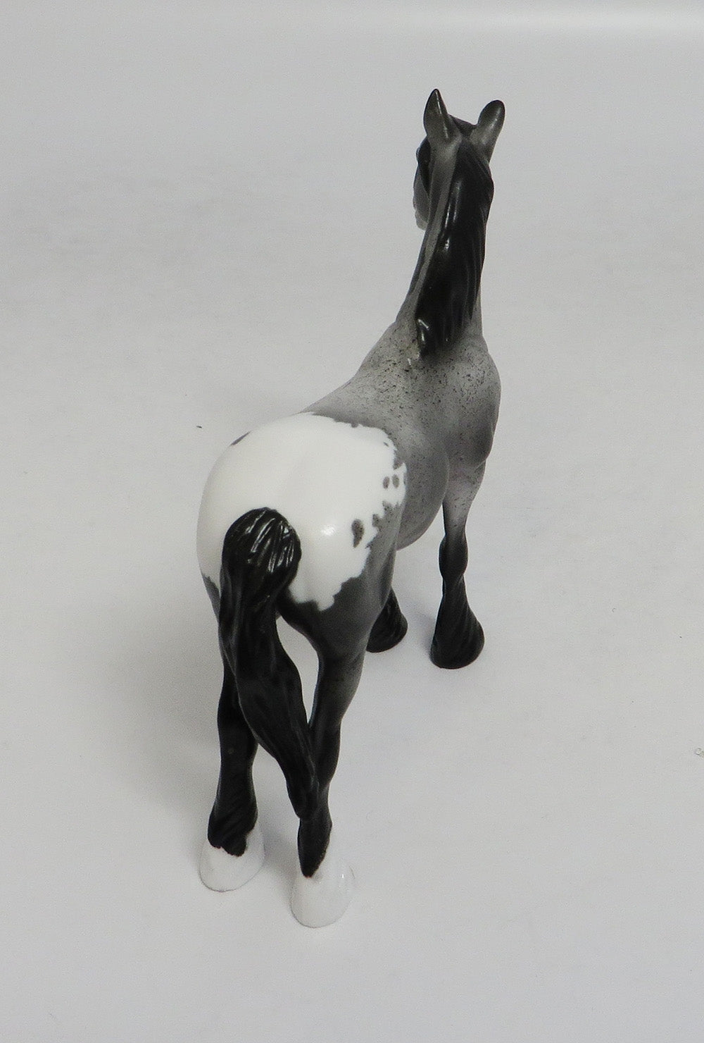 MYSTIQUE-LE-5 APPALOOSA CHIP DRAFTER WITH CUSTOM TAIL LHS 2018