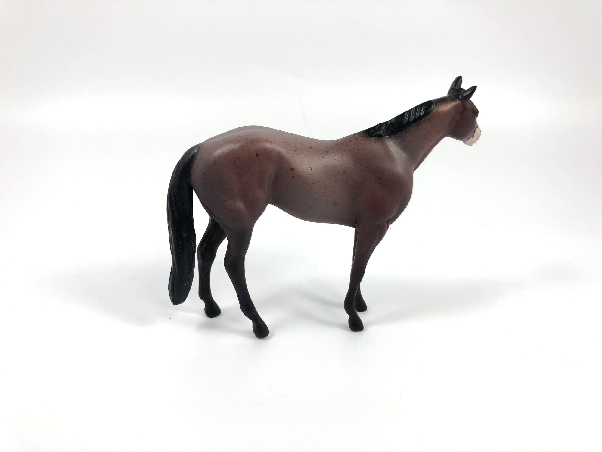 PLEAT-OOAK BAY ROAN STOCK HORSE CHIP BY AMANDA HOSTETLER SHCF 19