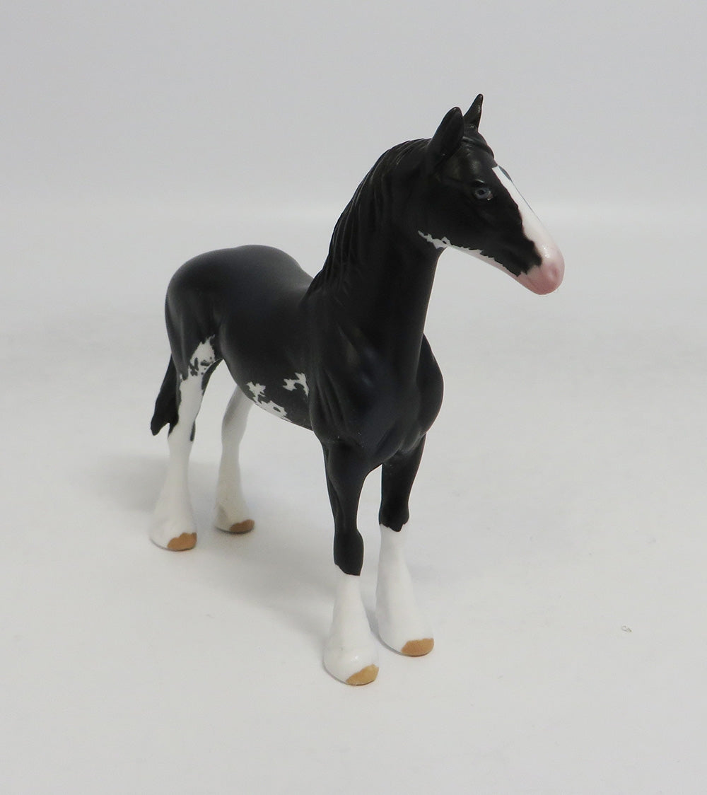 SAM SPADE- LE5 BLACK YEARLING BY AUDREY DIXON LHS 2018