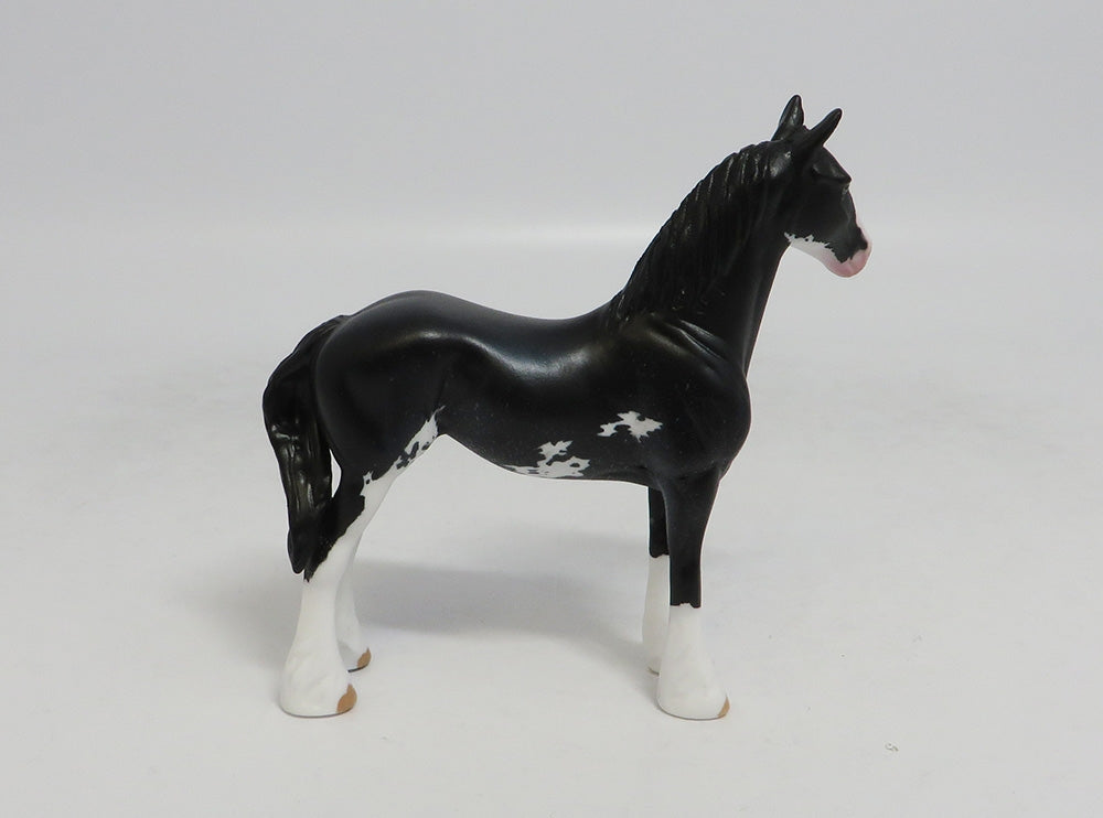 SAM SPADE- LE5 BLACK YEARLING BY AUDREY DIXON LHS 2018