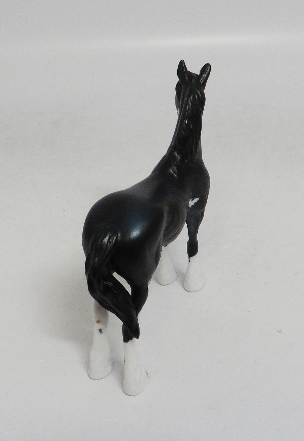 SAM SPADE- LE5 BLACK YEARLING BY AUDREY DIXON LHS 2018