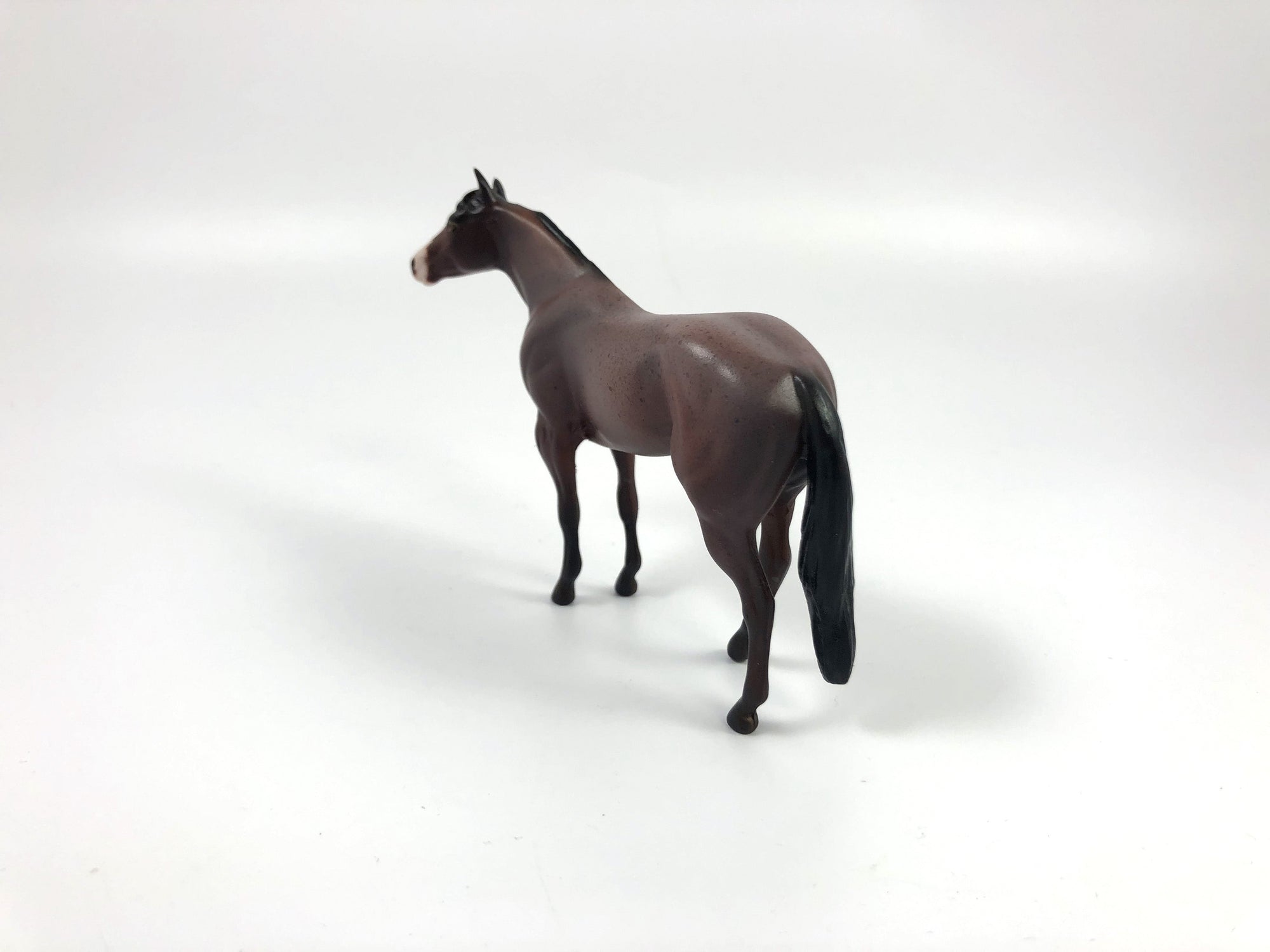 PLEAT-OOAK BAY ROAN STOCK HORSE CHIP BY AMANDA HOSTETLER SHCF 19