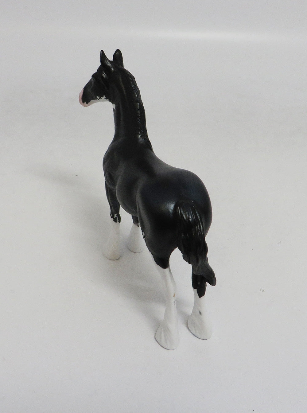 SAM SPADE- LE5 BLACK YEARLING BY AUDREY DIXON LHS 2018