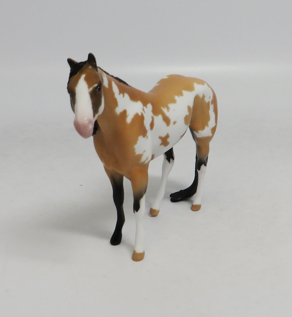 I SPY - LE4 BUCKSKIN PINTO STOCK CHIP LHS 2018