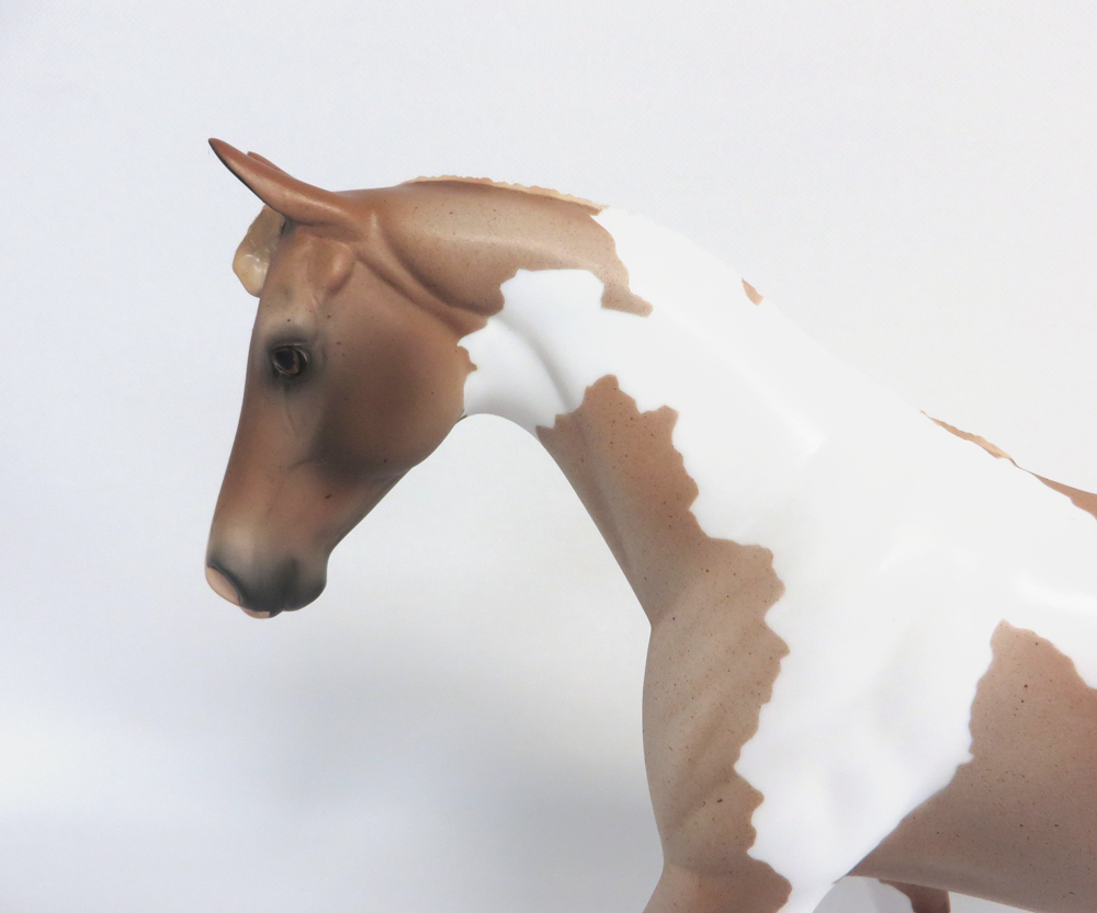 SHINING ARMOR-- OOAK STRAWBERRY ROAN PINTO PONY BY AUDREY DIXON 4-10-19