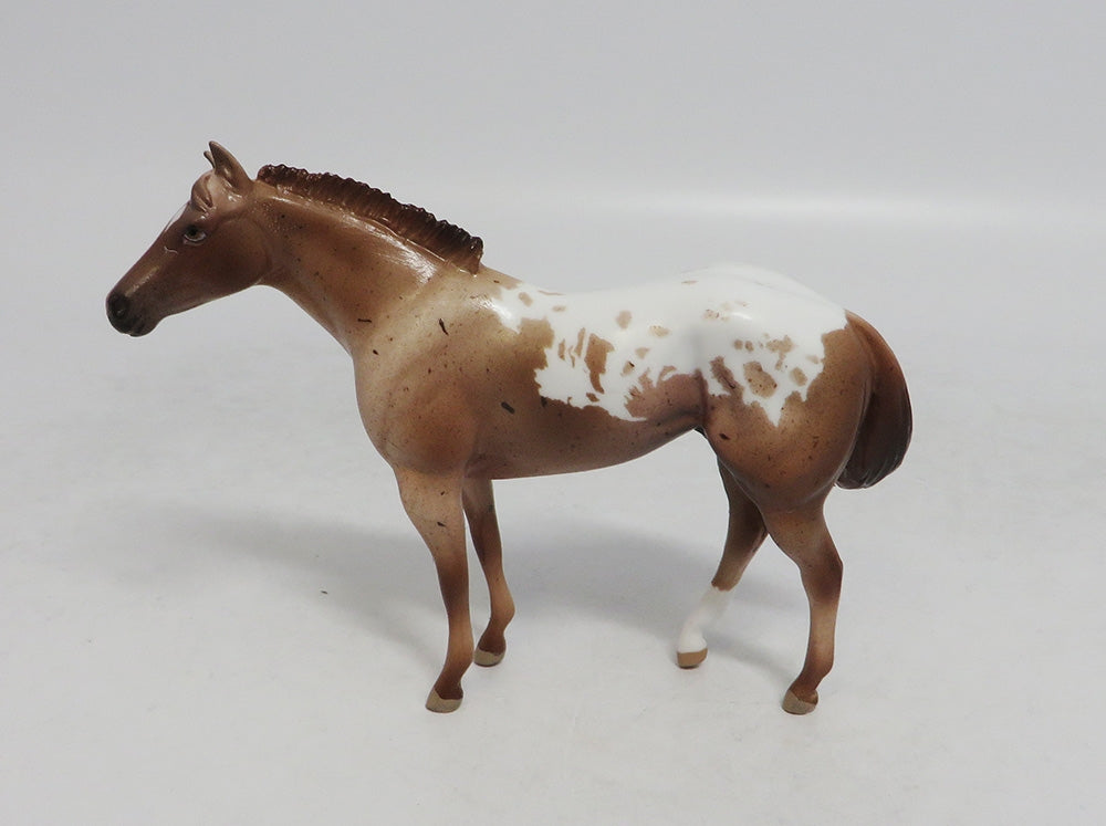 HOLMES - LE4 RED ROAN APPALOOSA STOCK CHIP LHS 2018