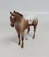 HOLMES - LE4 RED ROAN APPALOOSA STOCK CHIP LHS 2018