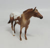 HOLMES - LE4 RED ROAN APPALOOSA STOCK CHIP LHS 2018