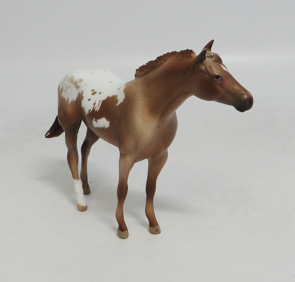 HOLMES - LE4 RED ROAN APPALOOSA STOCK CHIP LHS 2018