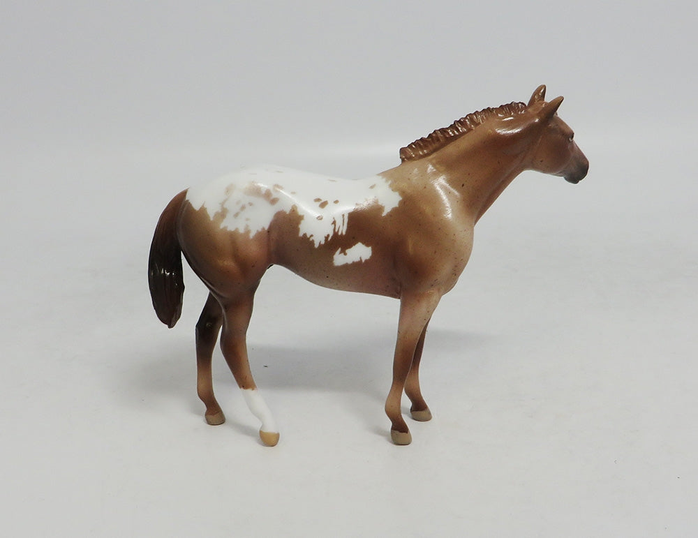 HOLMES - LE4 RED ROAN APPALOOSA STOCK CHIP LHS 2018