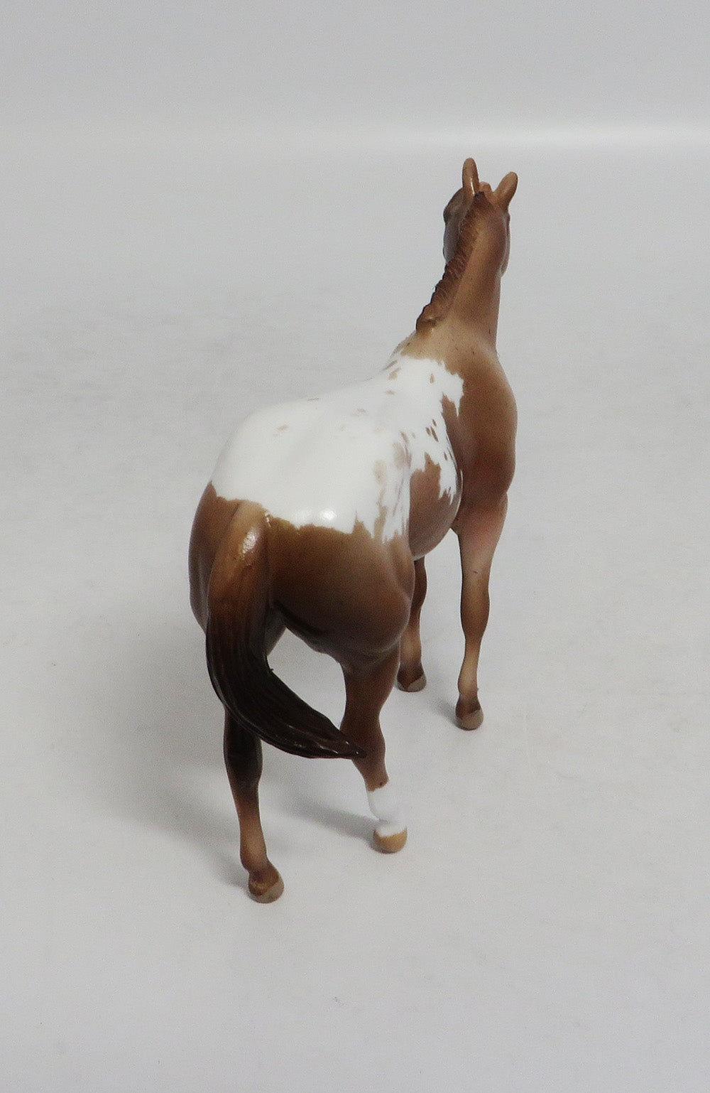 HOLMES - LE4 RED ROAN APPALOOSA STOCK CHIP LHS 2018