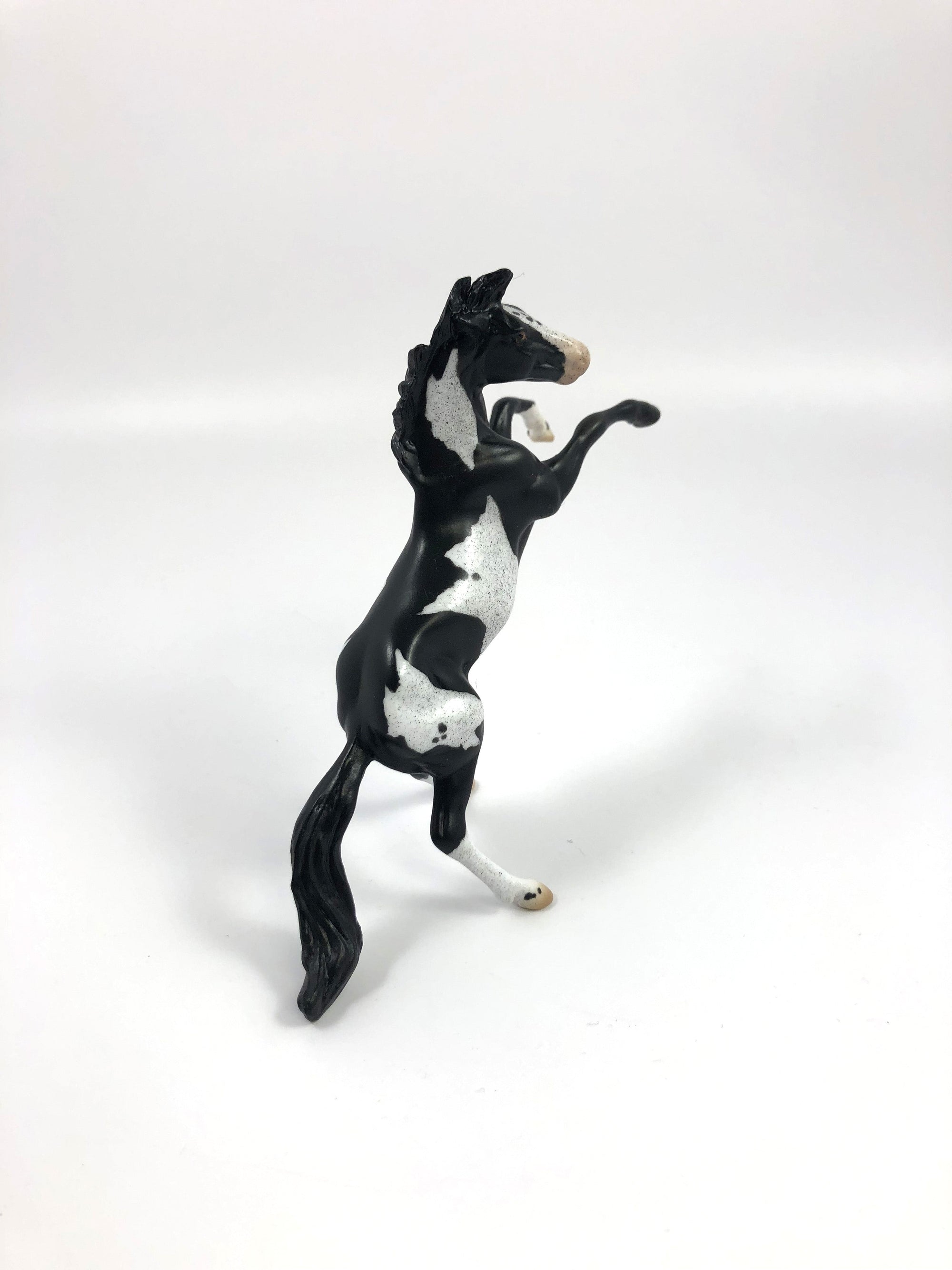 DRESS GORDON-OOAK MUSTANG REARING CHIP SHCF19