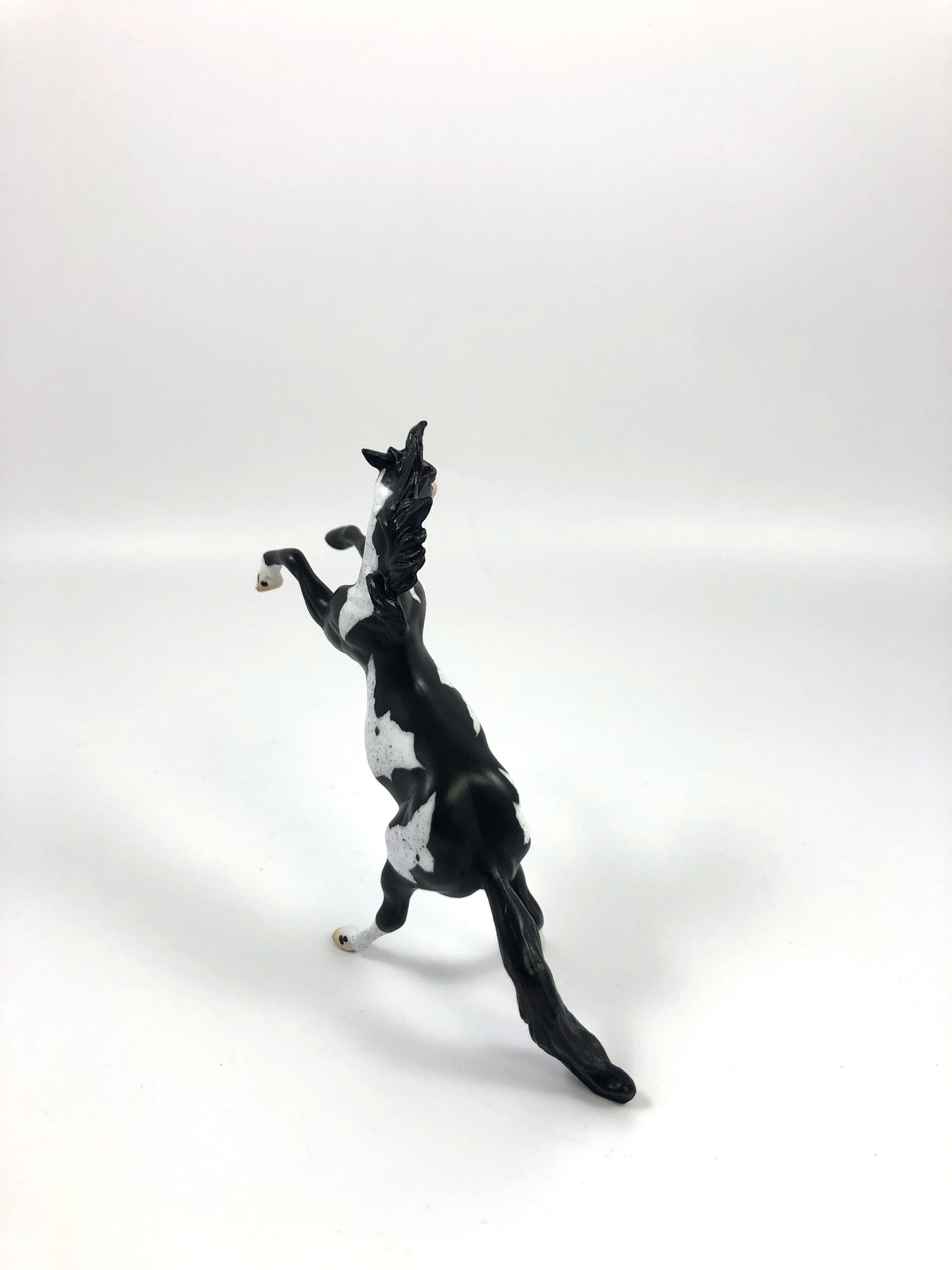 DRESS GORDON-OOAK MUSTANG REARING CHIP SHCF19