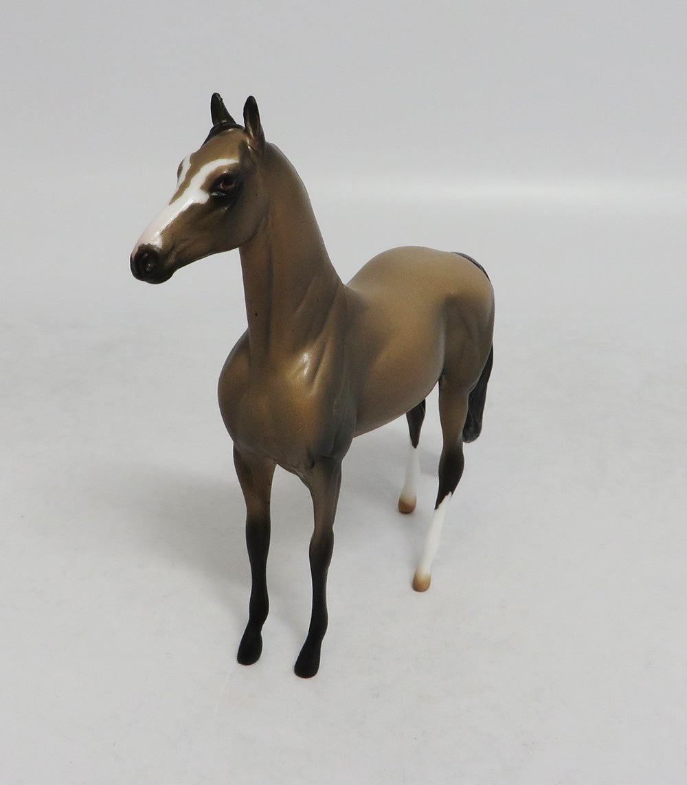 TUESDAY - OOAK SOOTY BUCKSKIN MORGAN CHIP LHS 2018