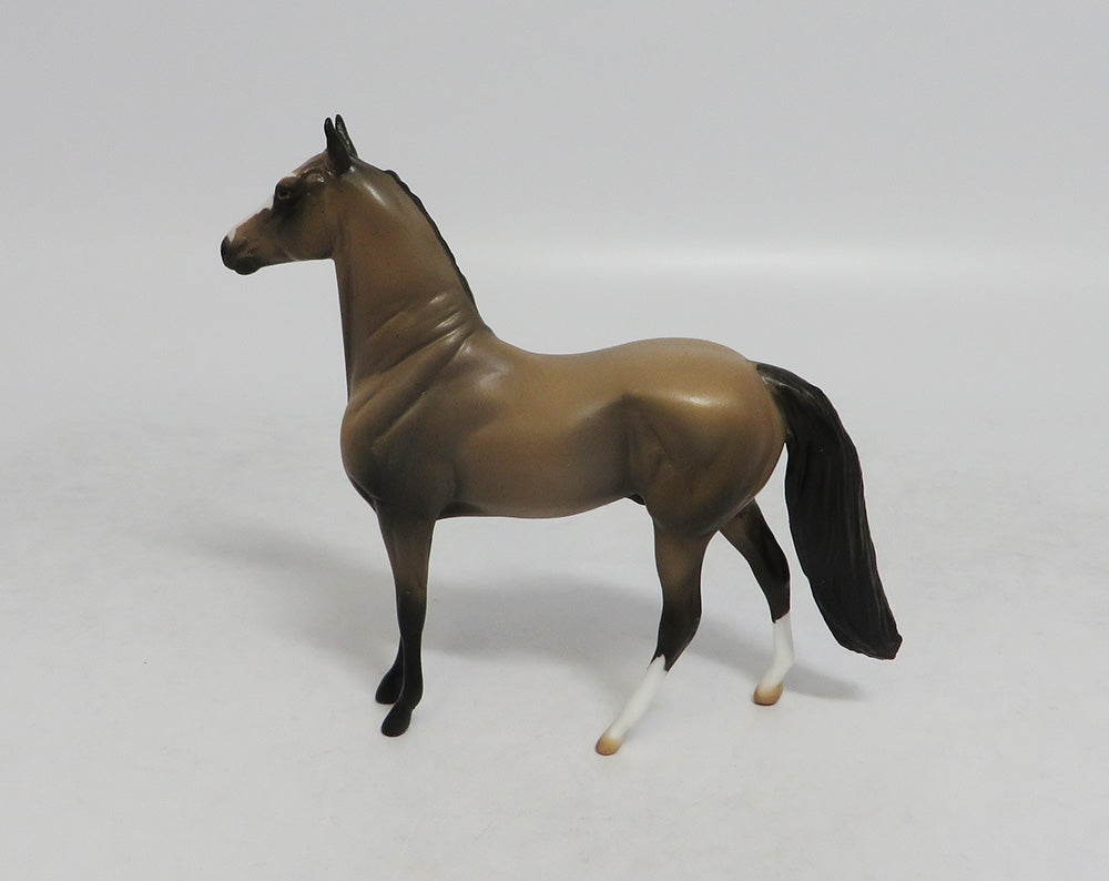 TUESDAY - OOAK SOOTY BUCKSKIN MORGAN CHIP LHS 2018