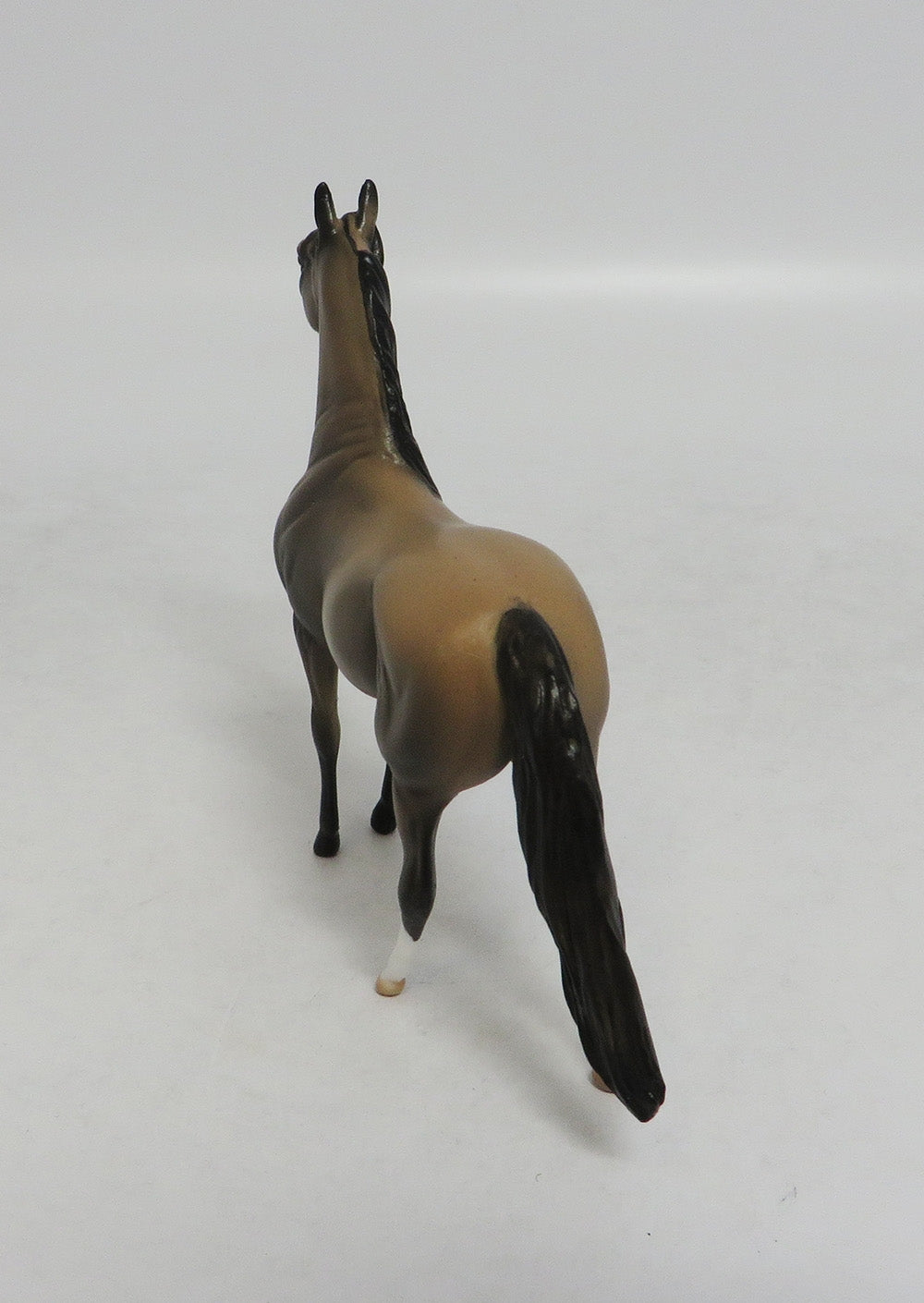 TUESDAY - OOAK SOOTY BUCKSKIN MORGAN CHIP LHS 2018