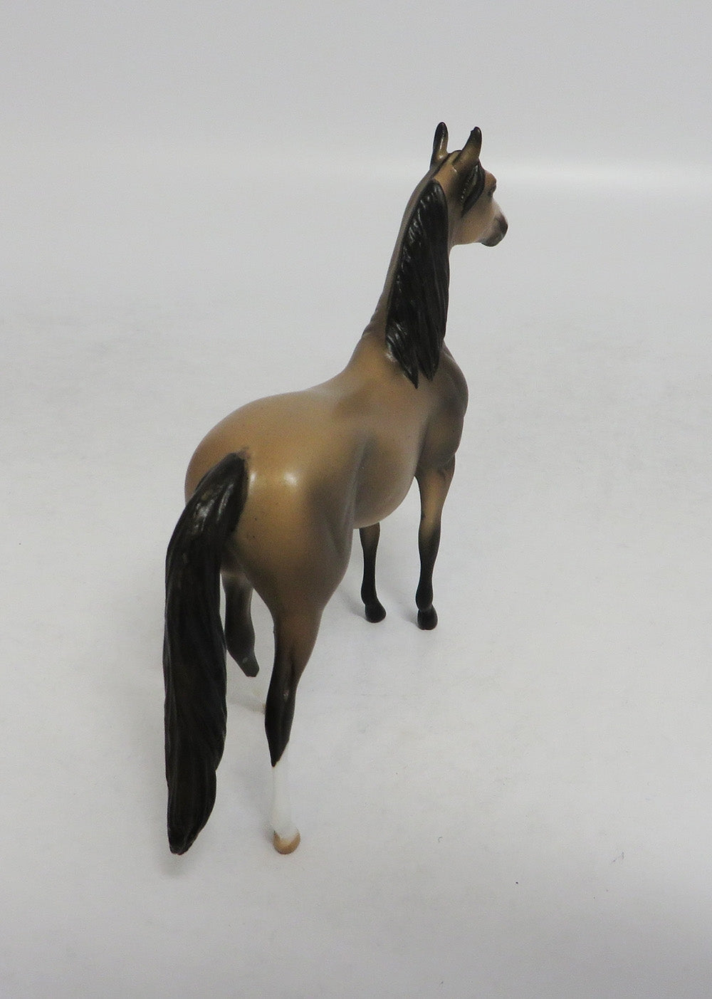 TUESDAY - OOAK SOOTY BUCKSKIN MORGAN CHIP LHS 2018