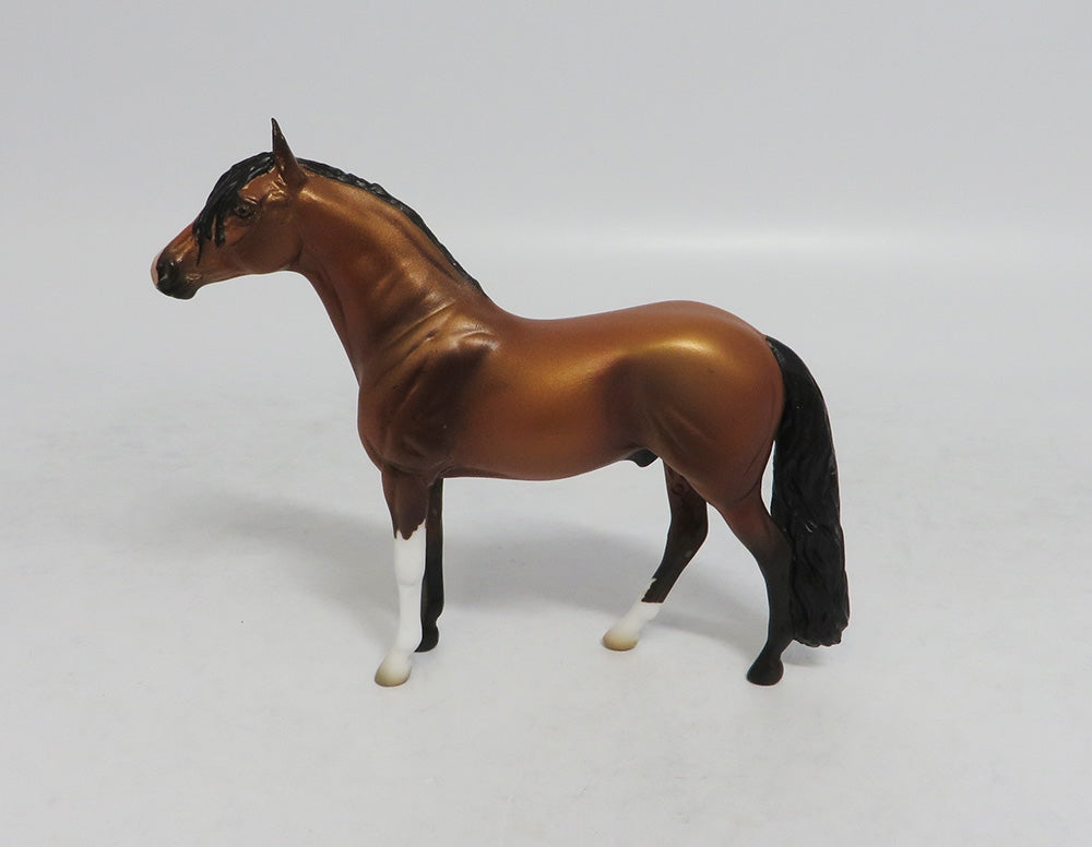 TEA TIME - OOAK BAY ANDALUSIAN CHIP LHS 2018