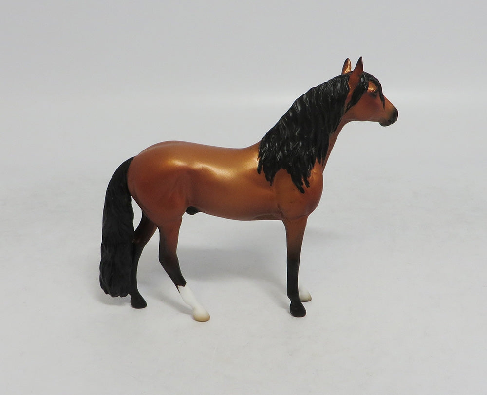 TEA TIME - OOAK BAY ANDALUSIAN CHIP LHS 2018