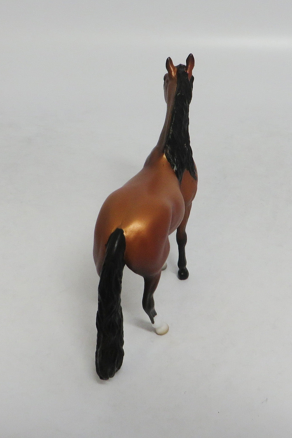 TEA TIME - OOAK BAY ANDALUSIAN CHIP LHS 2018