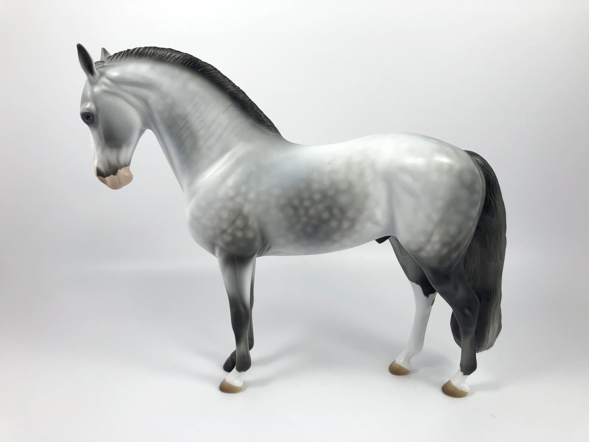 HARLEQUIN- OOAK DAPPLE GREY ANDALUSIAN CM MODEL HORSE BY AUDREY DIXON SHCF 19