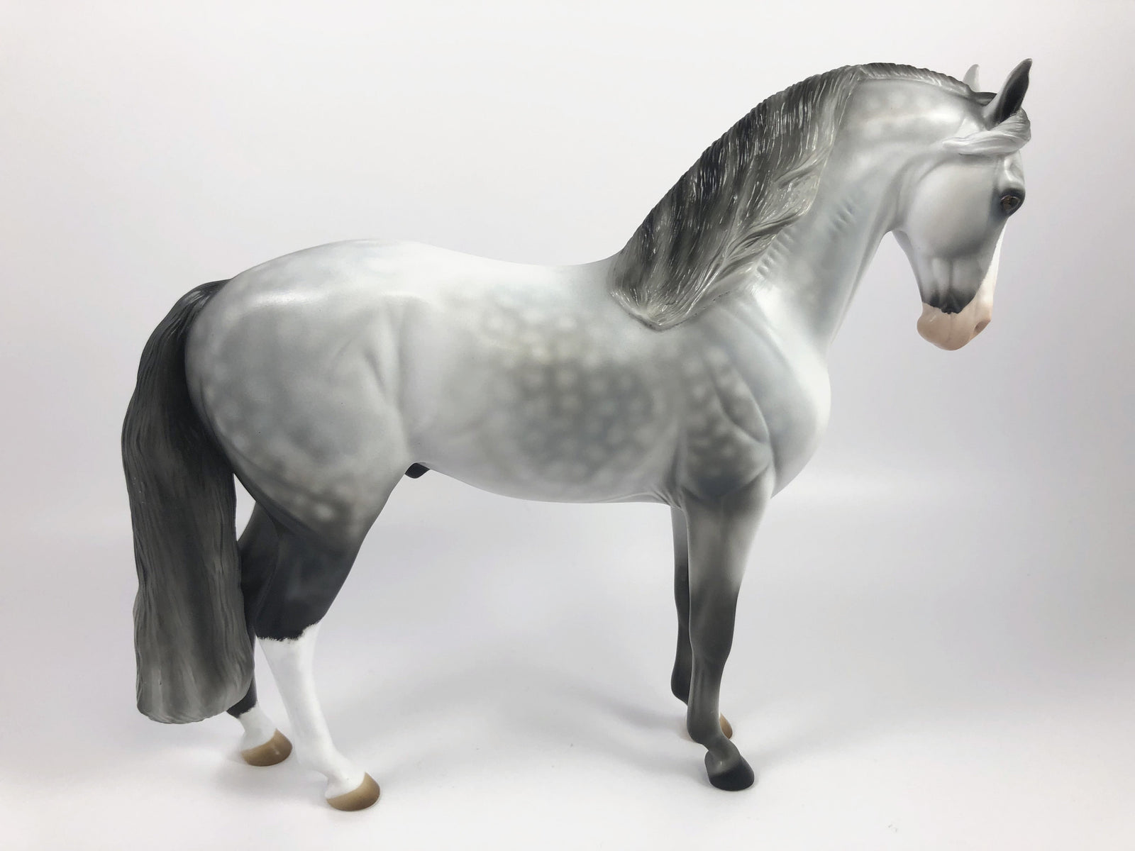 HARLEQUIN- OOAK DAPPLE GREY ANDALUSIAN CM MODEL HORSE BY AUDREY DIXON SHCF 19