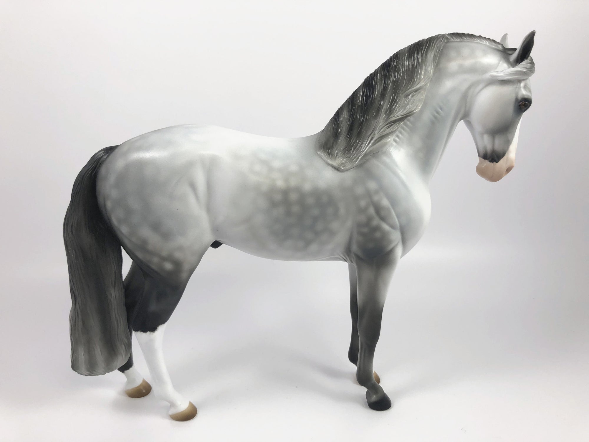 HARLEQUIN- OOAK DAPPLE GREY ANDALUSIAN CM MODEL HORSE BY AUDREY DIXON SHCF 19
