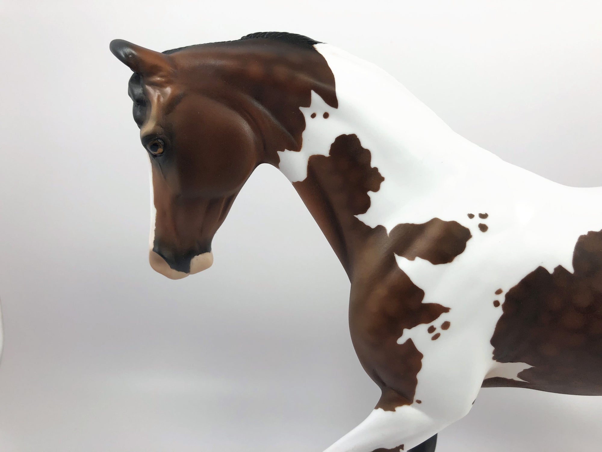 PARQUET-OOAK BAY TOBIANO MARWARI CUSTOM THOROUGHBRED MODEL HORSE BY AUDREY DIXON SHCF 19