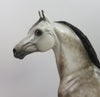 FROSTOP-OOAK DAPPLE GREY MORGAN MODEL HORSE BY SHERYL LEISURE 9/6/19