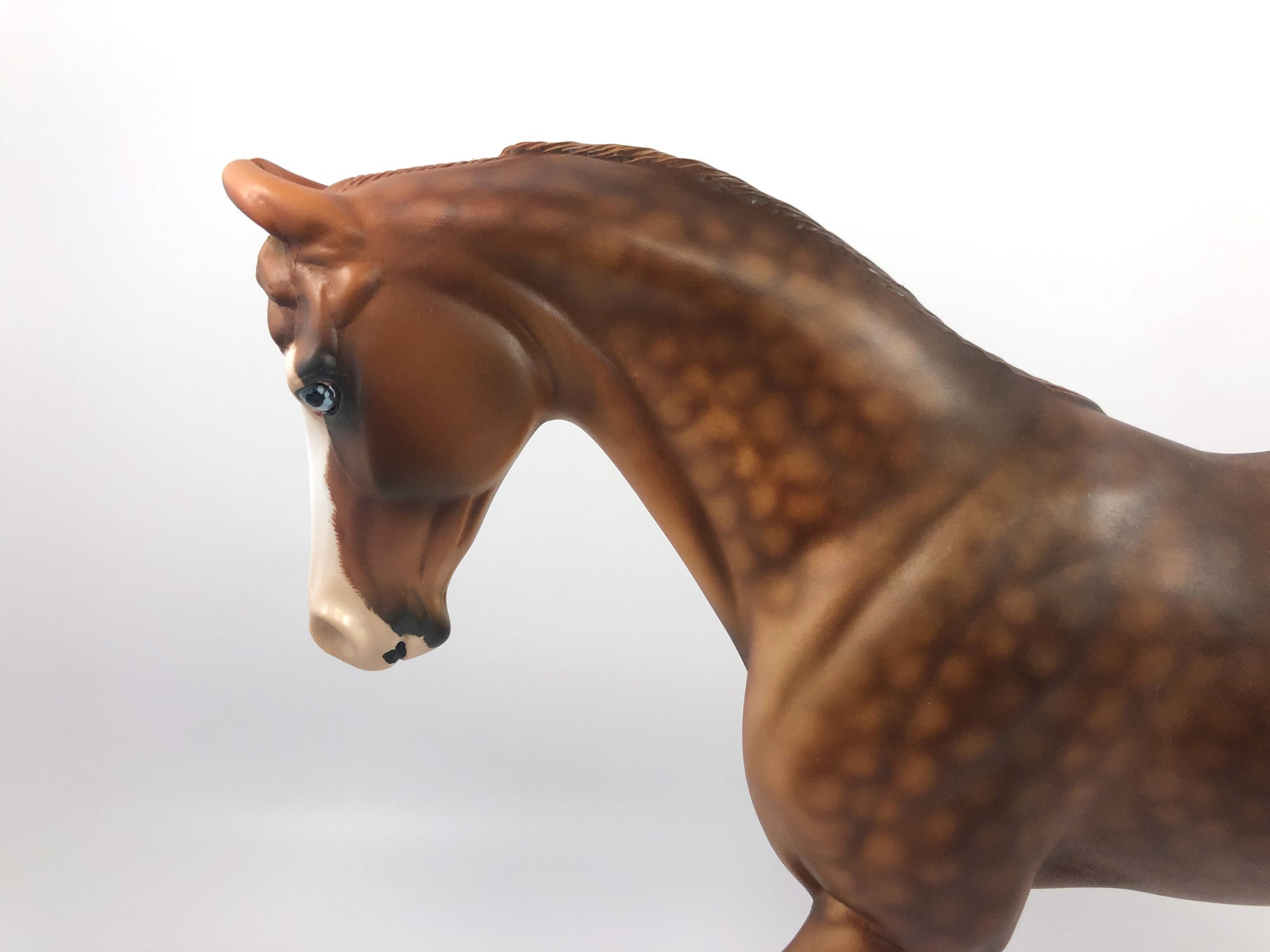 GINGHAM-OOAK CHESTNUT MARWARI CUSTOM THOROUGHBRED MODEL HORSEBY AUDREY DIXON SHCF 19