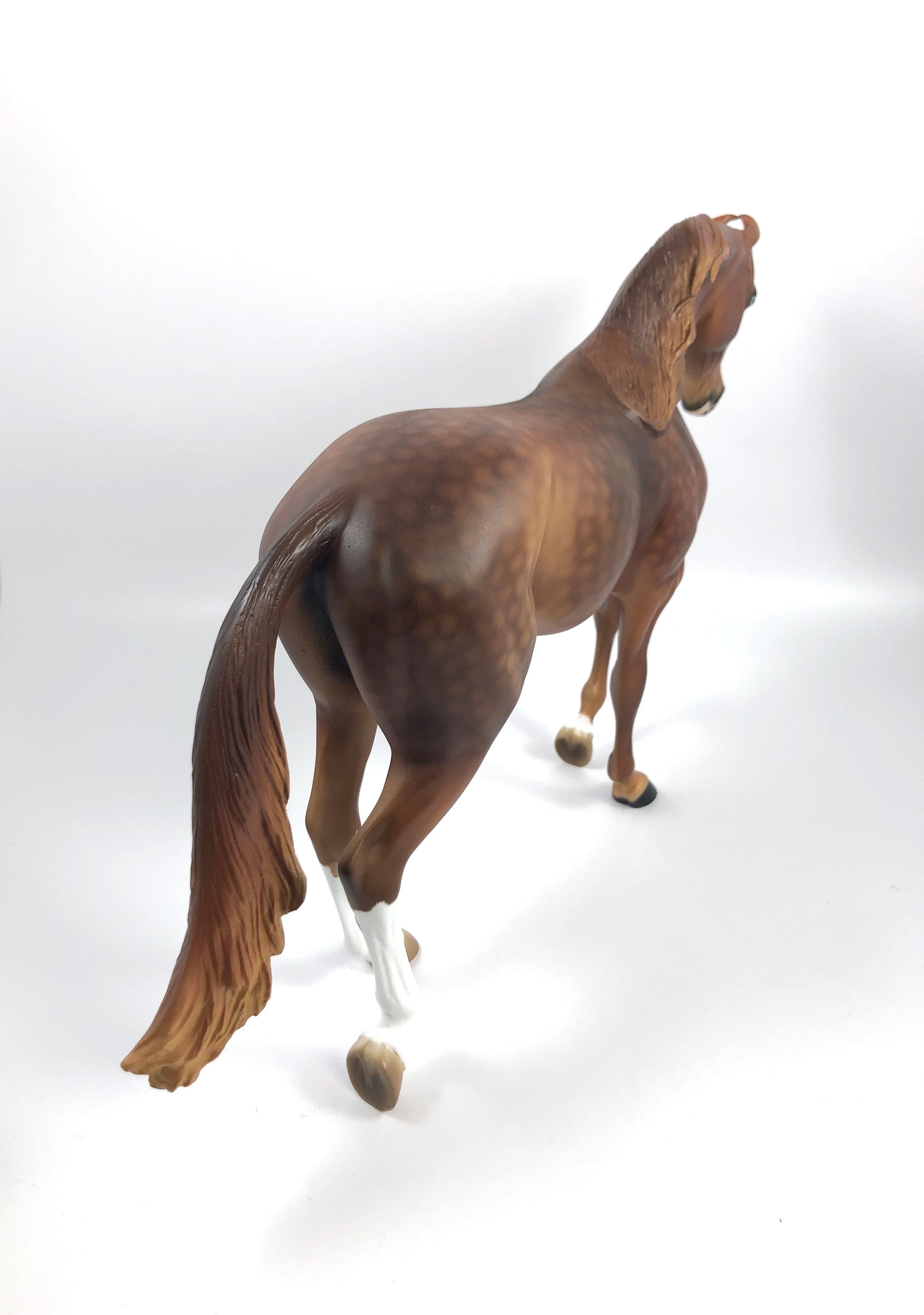 GINGHAM-OOAK CHESTNUT MARWARI CUSTOM THOROUGHBRED MODEL HORSEBY AUDREY DIXON SHCF 19