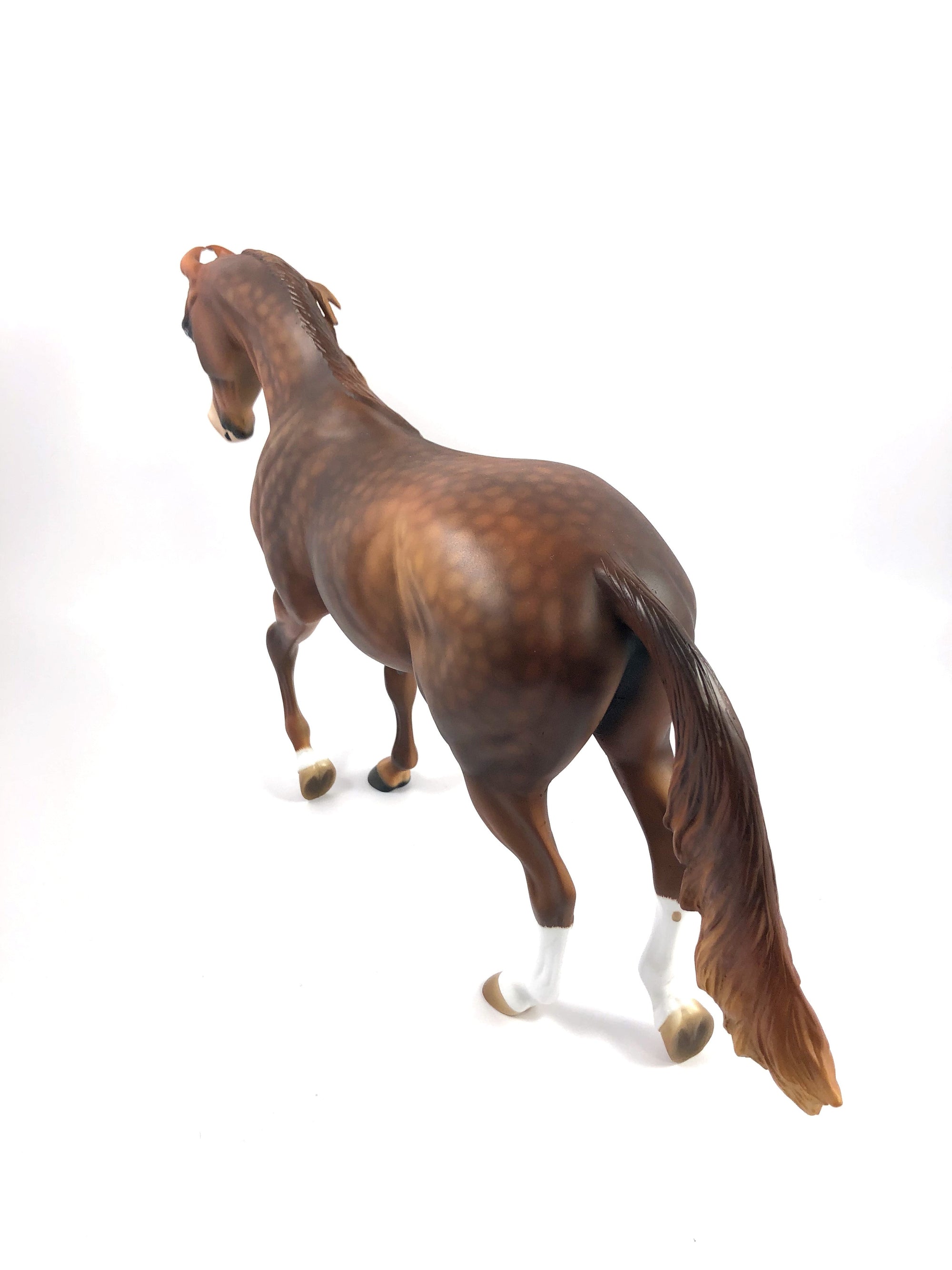 GINGHAM-OOAK CHESTNUT MARWARI CUSTOM THOROUGHBRED MODEL HORSEBY AUDREY DIXON SHCF 19