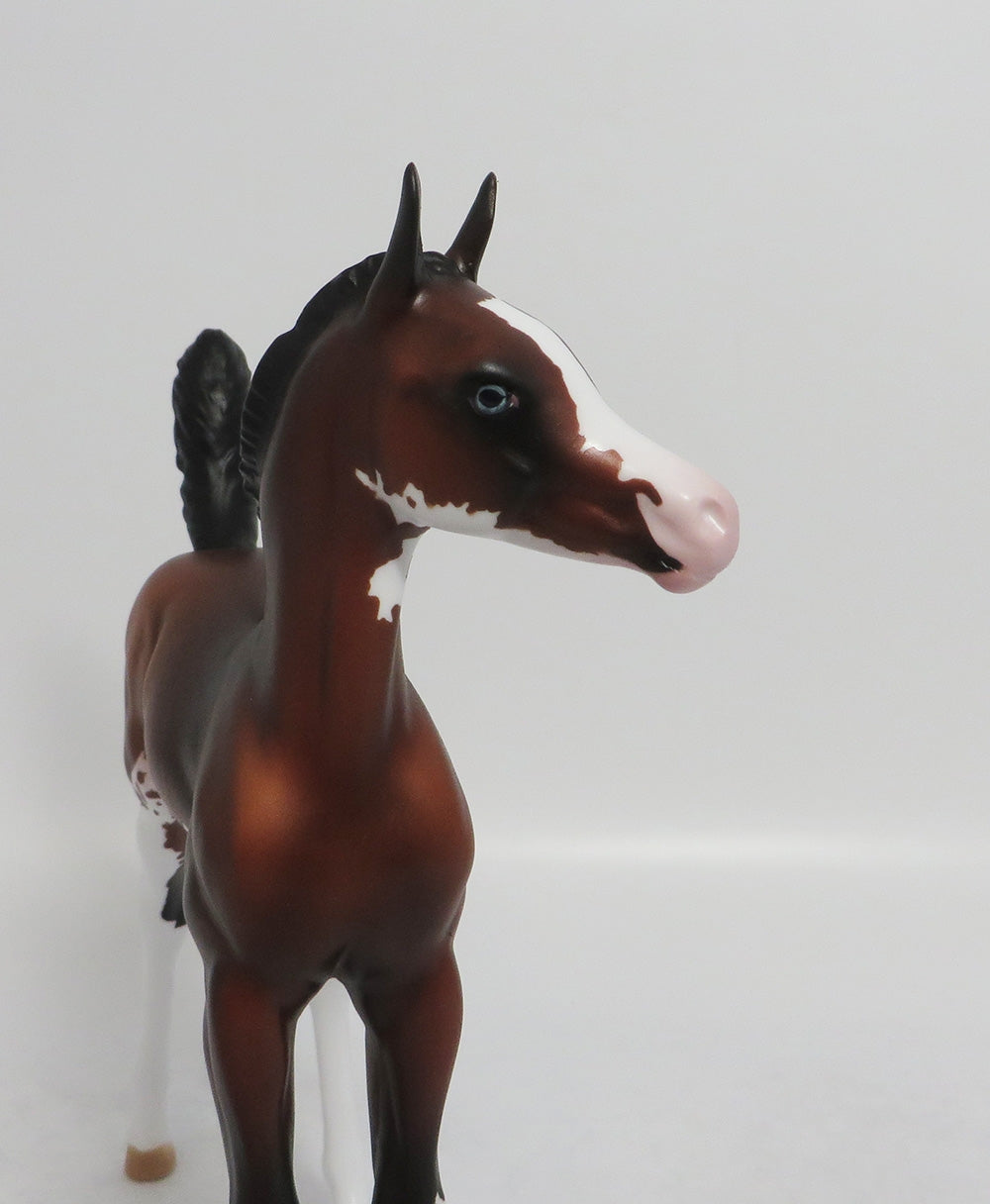 BEBE-OOAK BAY SABINO ARABIAN FOAL 8/10/18