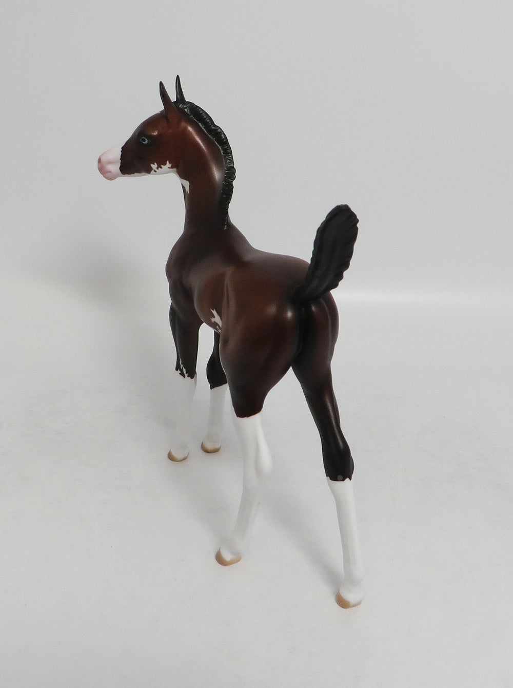 BEBE-OOAK BAY SABINO ARABIAN FOAL 8/10/18