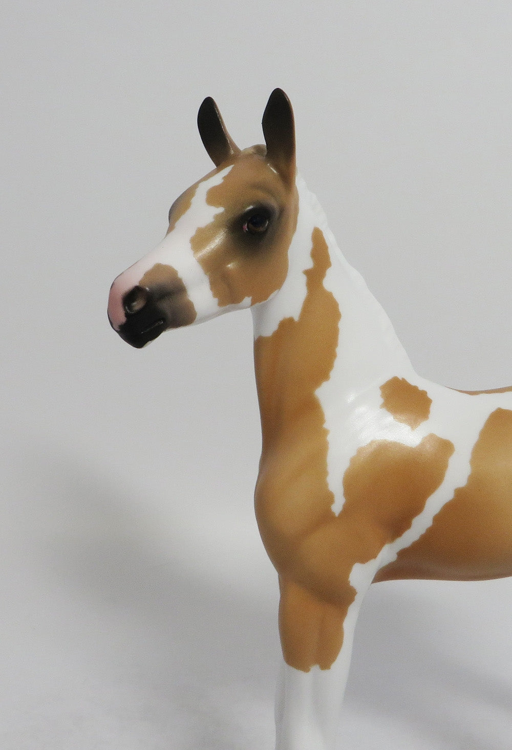 YOU ARE MY SUNSHINE-OOAK PALOMINO TOBIANO FOAL BY AUDREY DIXON 8/101/18