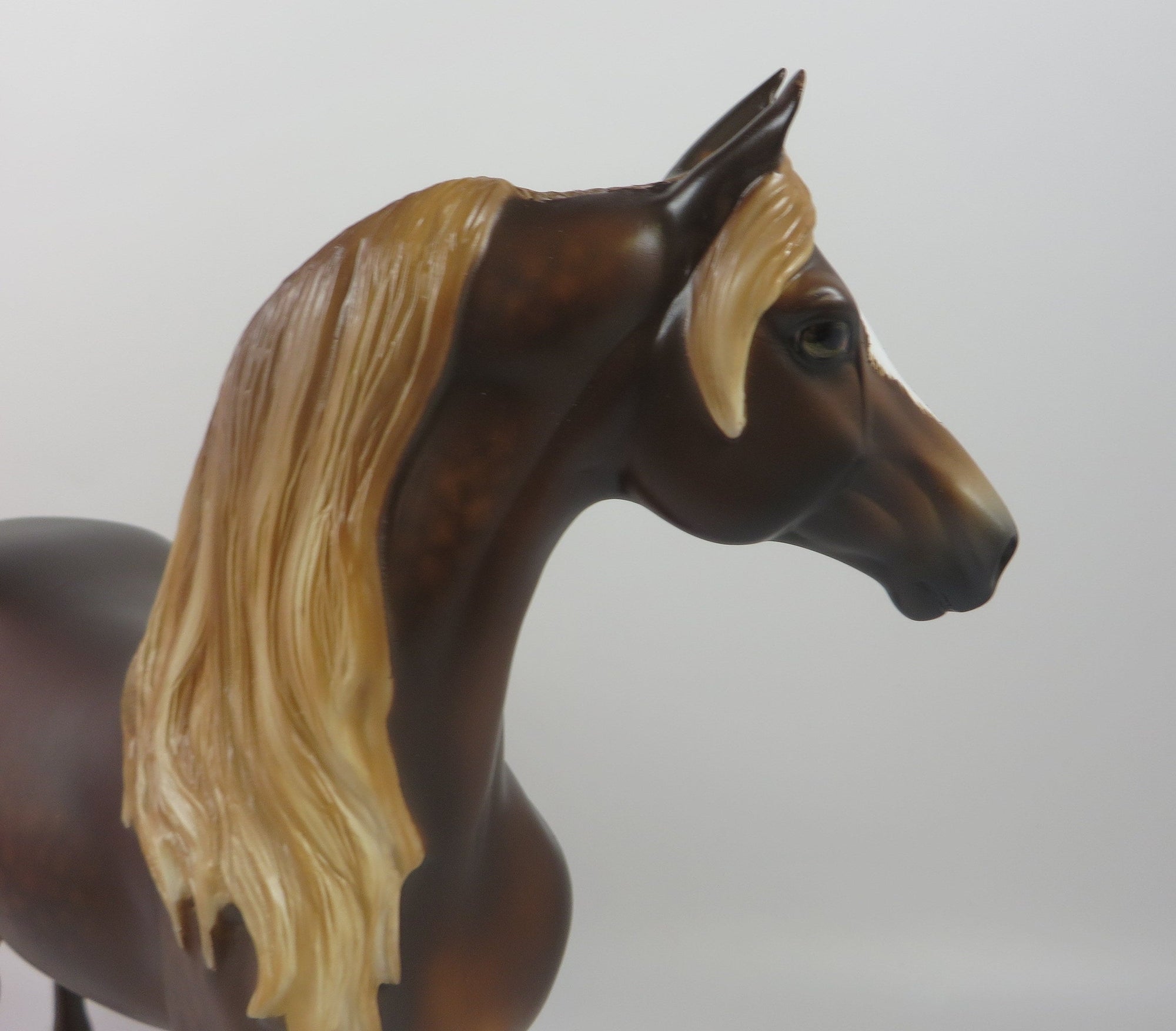 BEDFORD-OOAK DAPPLE CHESTNUT MORGAN HORSE 9/6/19