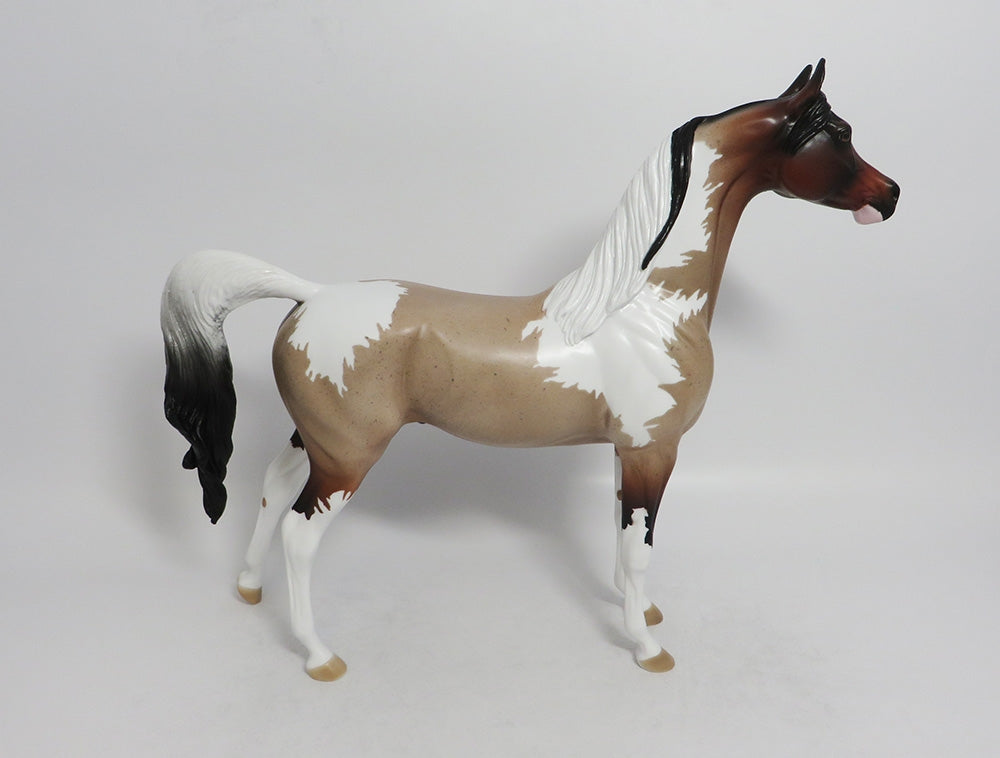 LACONIA-OOAK BAY ROAN TOBIANO MODEL HORSE 8/10/18