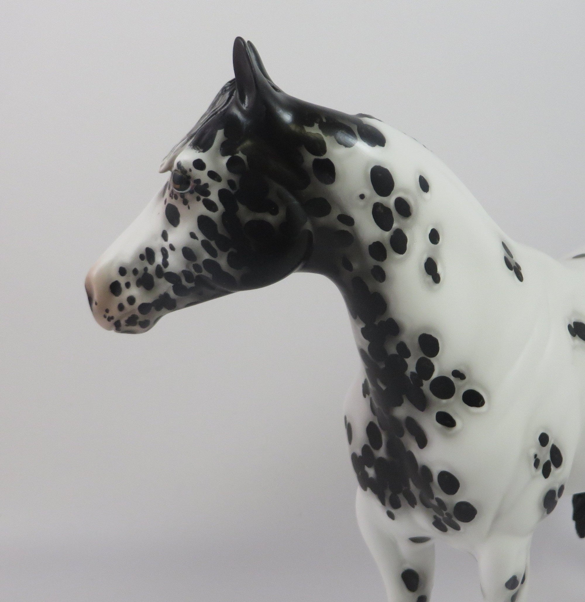 EXCEL-OOAK APPALOOSA ISH MODEL HORSE BY SHERYL LEISURE 9/6/19